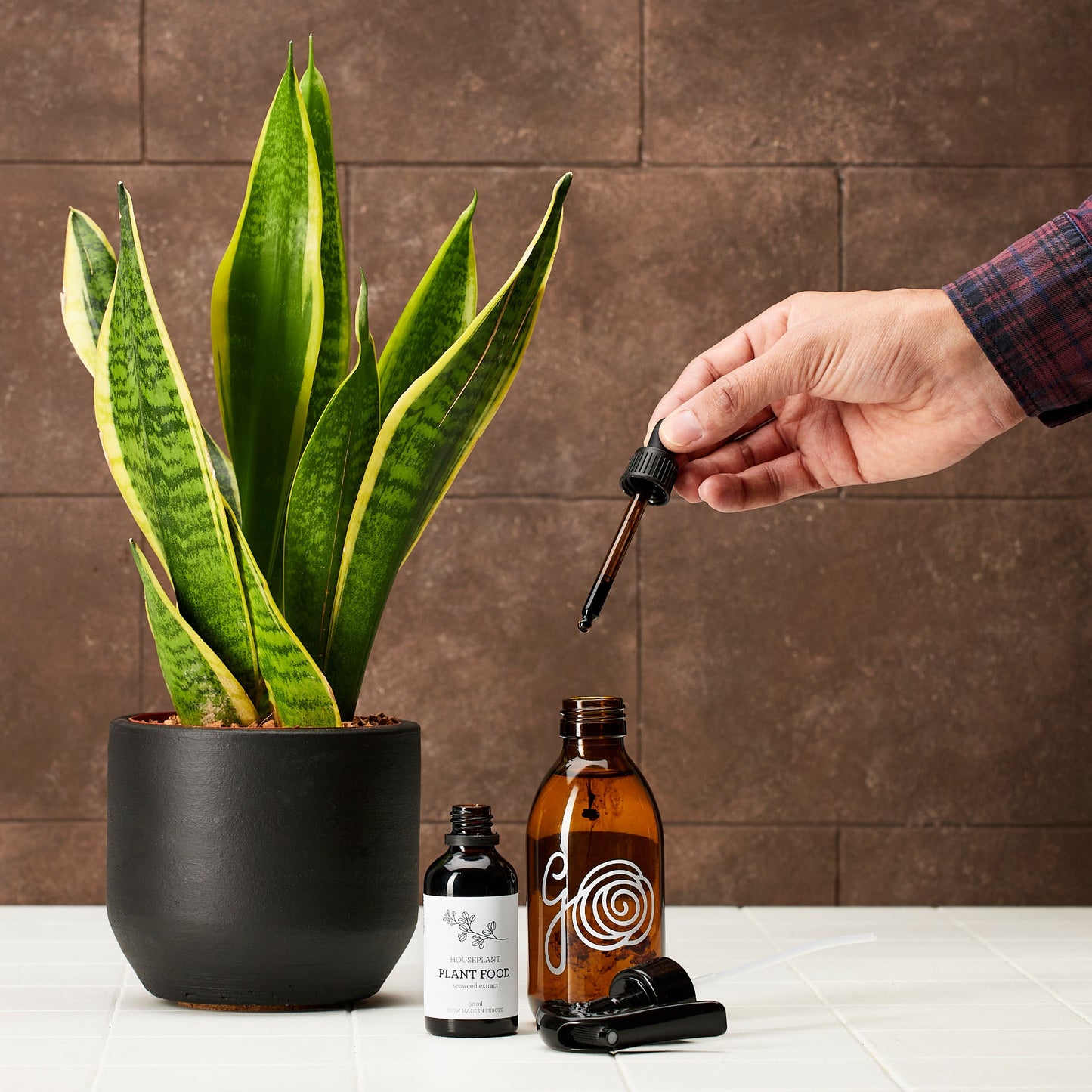 Generosa Natural Liquid Fertiliser Plant Food - Fertiliser for Indoor Plants made from 100% Seaweed Extract | Fertiliser for Green Plants | 50ml glass bottle with pipette