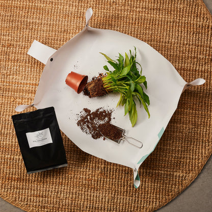 Generosa Soil Freshener Potting Soil - Organic, Nutrient-Rich Soil for Thriving Plants 2000ml