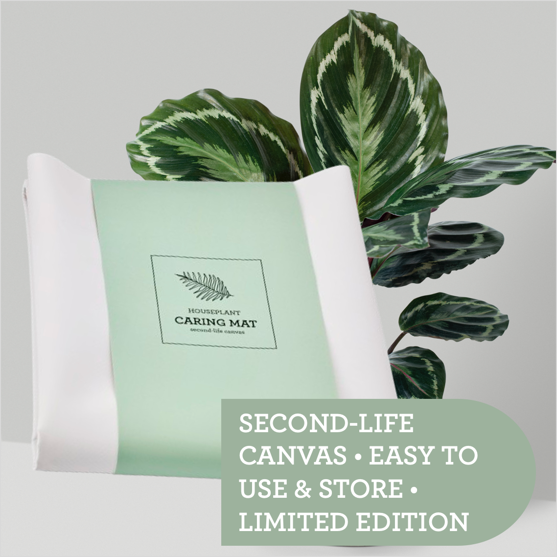 Generosa Plant Caring Mat - Eco-Friendly Potting Tarp for Mess-Free Repotting & Plant Care 60x70cm