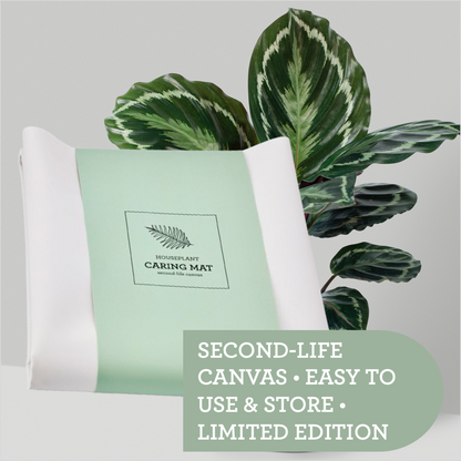 Generosa Plant Caring Mat - Eco-Friendly Potting Tarp for Mess-Free Repotting & Plant Care 60x70cm