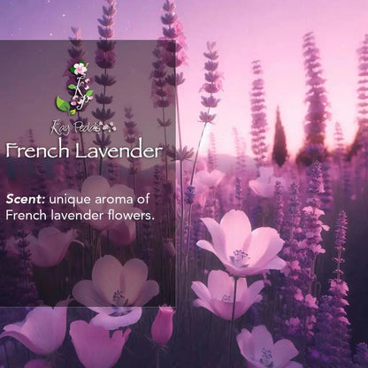 French Lavender Bundle Skin Care Gift Set
