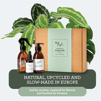 Generosa Plant Spa Gift Set - Plant Protection and Cleaning | Neem oil 50ml and Plant Soap 200ml Kit | Combating Plant Pests | Eco-friendly Gift | Gift for Plant Lovers