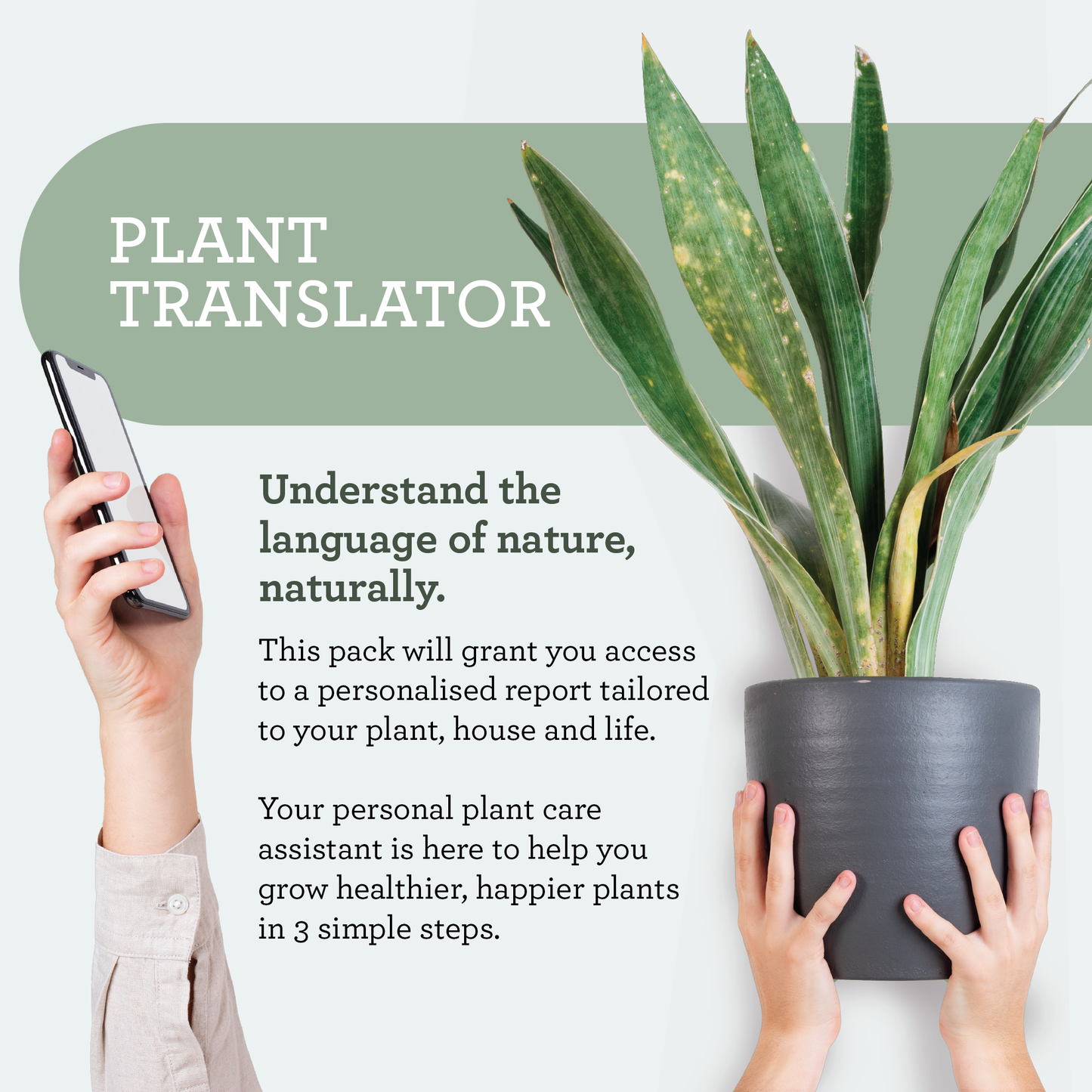 Generosa Plant Spa Gift Set - Plant Protection and Cleaning | Neem oil 50ml and Plant Soap 200ml Kit | Combating Plant Pests | Eco-friendly Gift | Gift for Plant Lovers