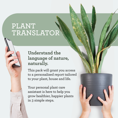 Generosa Plant Spa Gift Set - Plant Protection and Cleaning | Neem oil 50ml and Plant Soap 200ml Kit | Combating Plant Pests | Eco-friendly Gift | Gift for Plant Lovers