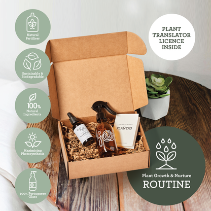 Generosa Plant Treat Gift Set Christmas Edition – Plant Nourishment | Natural Liquid Fertiliser 50ml and Glass Spray Bottle | Nutrients for Houseplants | Gift for Plant Lovers | Christmas Gift Gift Ideas, Eco-friendly Gift