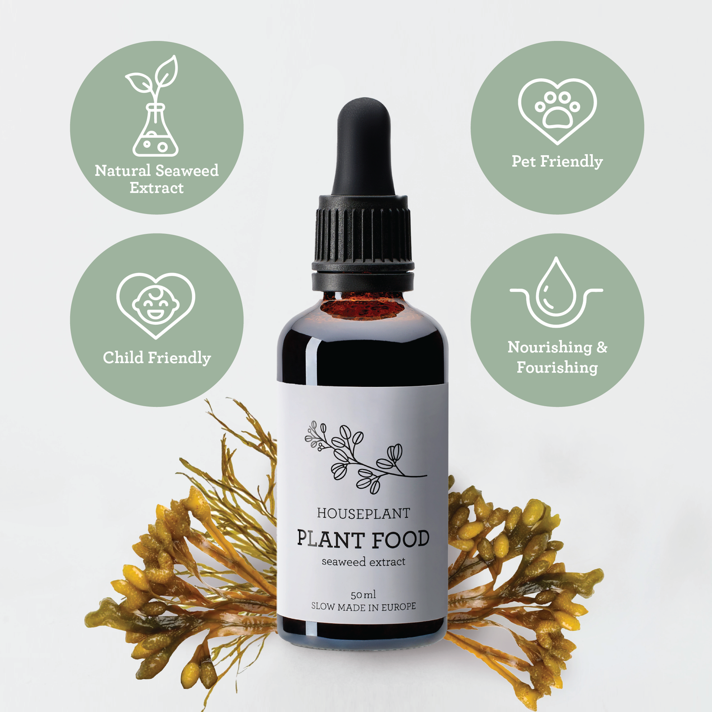 Generosa Plant Treat Gift Set Christmas Edition – Plant Nourishment | Natural Liquid Fertiliser 50ml and Glass Spray Bottle | Nutrients for Houseplants | Gift for Plant Lovers | Christmas Gift Gift Ideas, Eco-friendly Gift