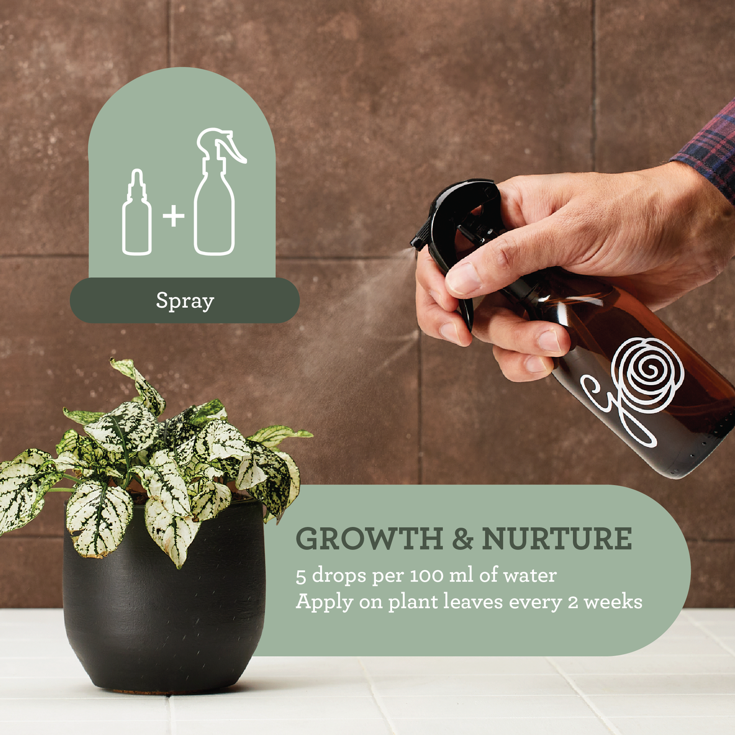 Generosa Natural Liquid Fertiliser Plant Food - Fertiliser for Indoor Plants made from 100% Seaweed Extract | Fertiliser for Green Plants | 50ml glass bottle with pipette