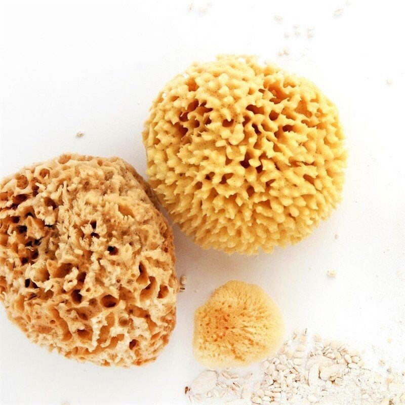 Natural Sea Sponge - Zero Waste Organic Sponge - Plastic Free Biodegradable Bath Sponge