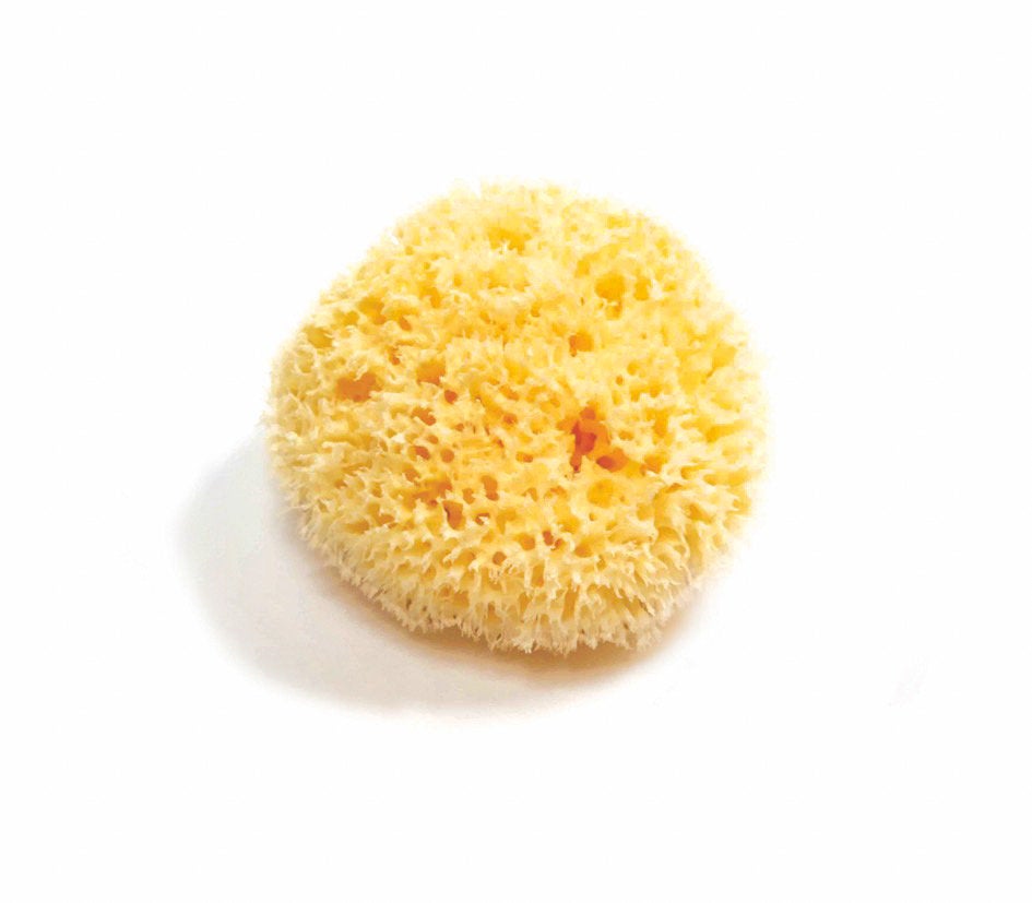 Natural Sea Sponge - Zero Waste Organic Sponge - Plastic Free Biodegradable Bath Sponge