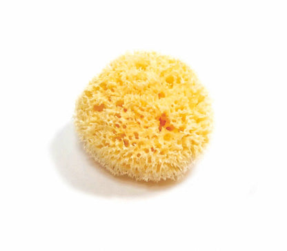 Natural Sea Sponge - Zero Waste Organic Sponge - Plastic Free Biodegradable Bath Sponge