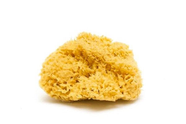 Natural Sea Sponge - Zero Waste Organic Sponge - Plastic Free Biodegradable Bath Sponge
