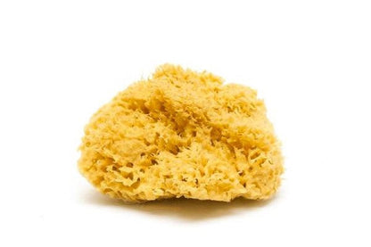 Natural Sea Sponge - Zero Waste Organic Sponge - Plastic Free Biodegradable Bath Sponge