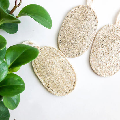 Natural Biodegradable Loofah Sponge - Zero Waste Plastic Free Organic Scrub - Sustainable Loofah Dish Sponge - Set of 3